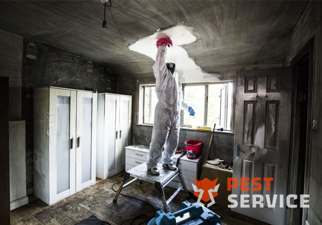 Профессиональная уборка помещений после пожара в Мурино от 2500 руб: удаление сажи, копоти и запаха гари, глубокая очистка поверхностей и восстановление чистоты. Быстро, безопасно и эффективно.