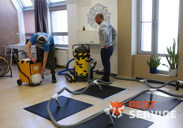 Профессиональная сушка после потопа в Мурино от 3000 руб. Быстро устраняем влагу, предотвращаем плесень и повреждения. Современное оборудование и опытные специалисты. Безопасно и эффективно.